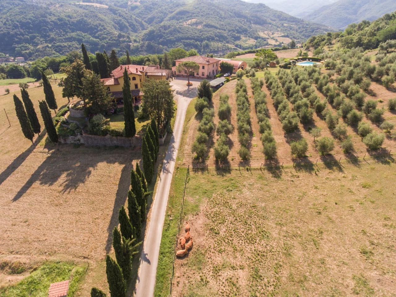 Villa Trebbiolo Dicomano Exterior foto